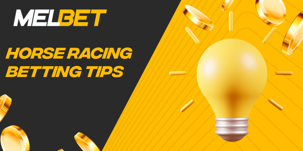 Which tips for betting on Melbet for horse racing fans?