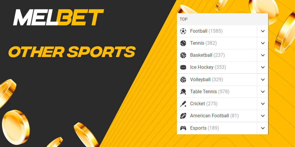 What sports Indian users can bet on on Melbet