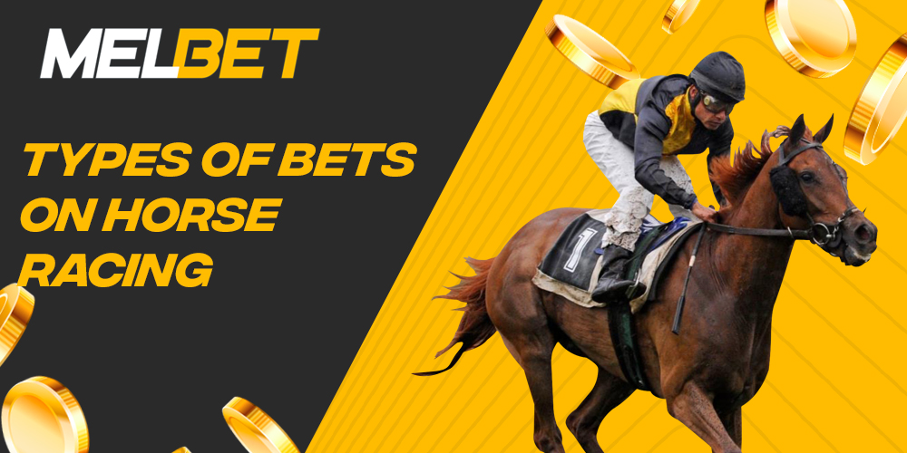 Types of horse racing bets available to Indian users on Melbet